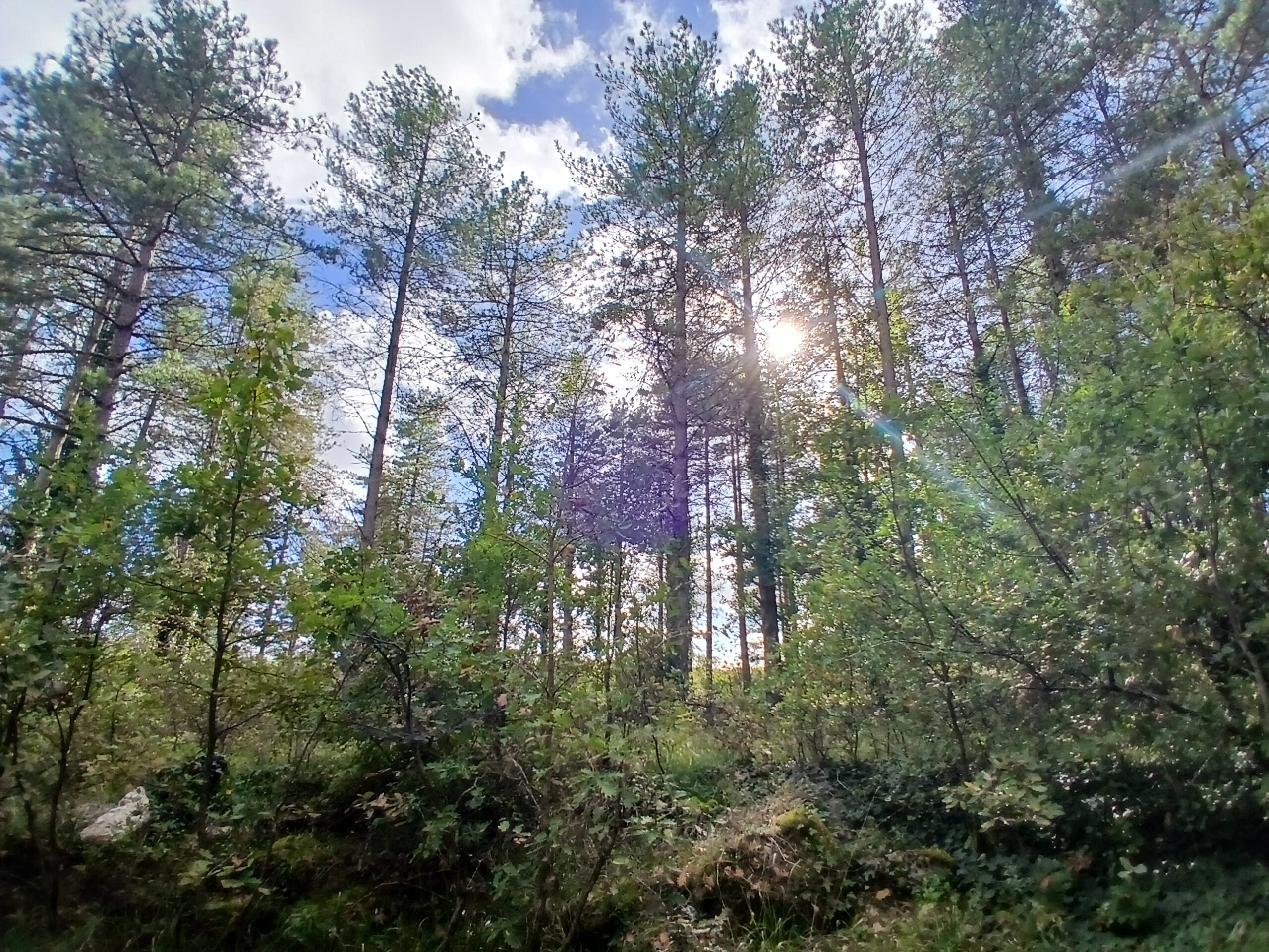 La nature préservée