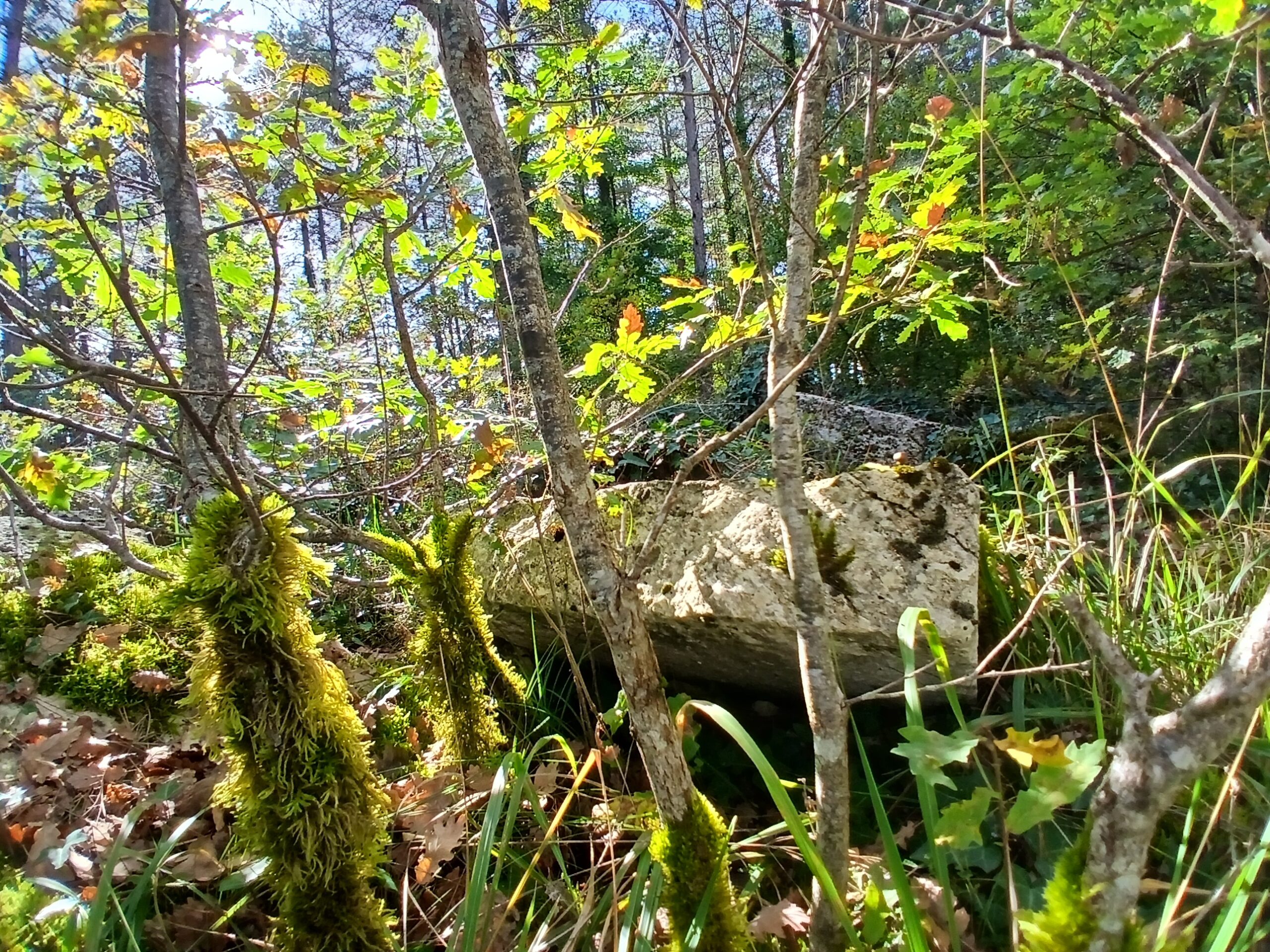 Retraite littéraire